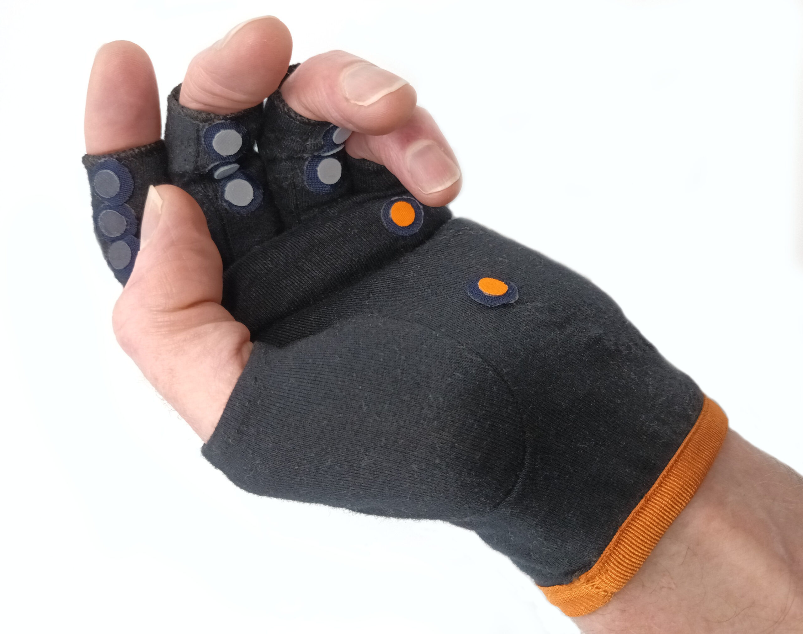curled palm